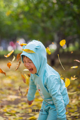 journal_insert_pic_1101803738