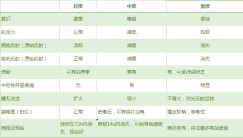 journal_insert_pic_1126223604
