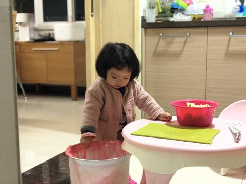 journal_insert_pic_1135491125