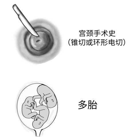 journal_insert_pic_1187130281