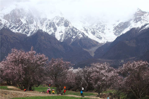 journal_insert_pic_1202123148