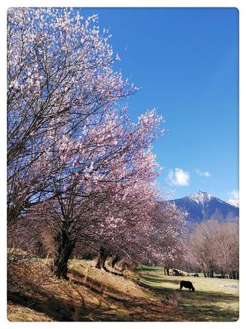 journal_insert_pic_1202123150