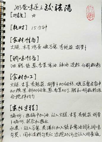 journal_insert_pic_988220228