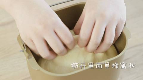 journal_insert_pic_1050437070