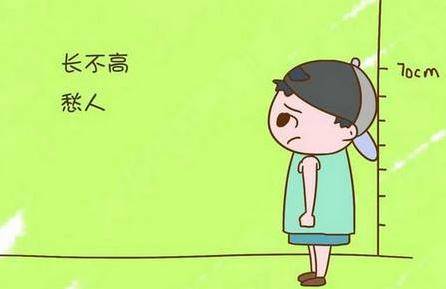 journal_insert_pic_1079450387