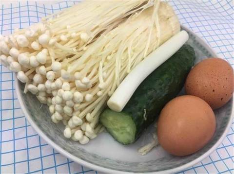 journal_insert_pic_1145861305