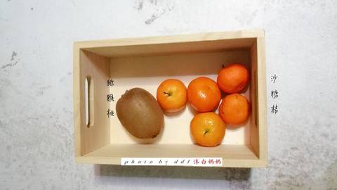 journal_insert_pic_1163789704