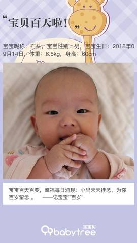 journal_insert_pic_1092679221