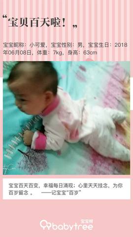 journal_insert_pic_1093785458