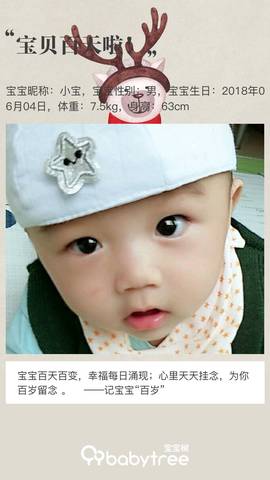 journal_insert_pic_1093955338