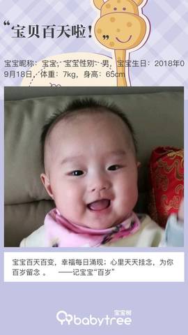 journal_insert_pic_1095349966