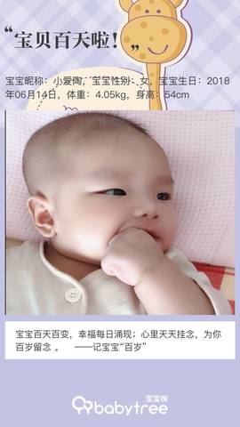 journal_insert_pic_1096211309