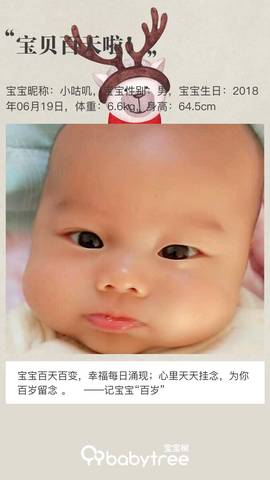 journal_insert_pic_1102336223