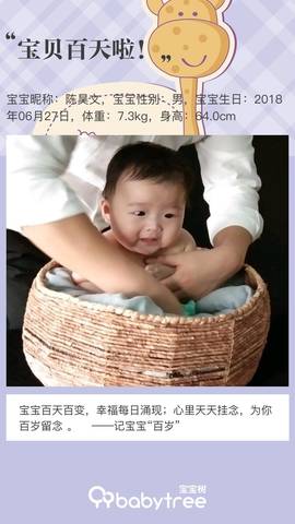 journal_insert_pic_1106211154