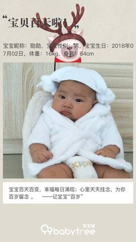 journal_insert_pic_1107167841