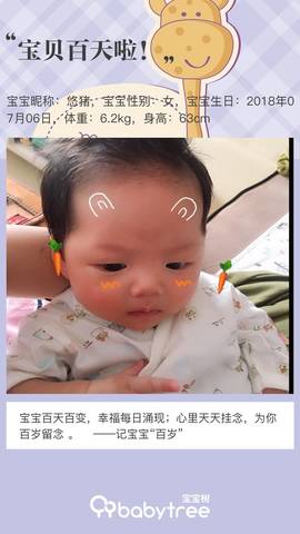 journal_insert_pic_1112050205