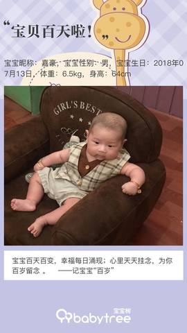 journal_insert_pic_1115137962