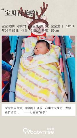 journal_insert_pic_1116068915