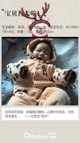 journal_insert_pic_1115682320