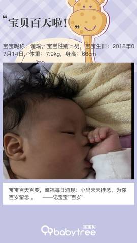 journal_insert_pic_1115566358