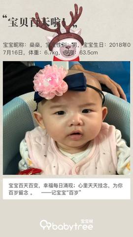 journal_insert_pic_1117496730