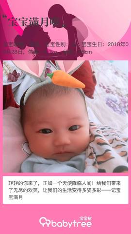 journal_insert_pic_1117965214