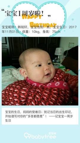 journal_insert_pic_1120521368