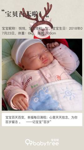 journal_insert_pic_1121144647