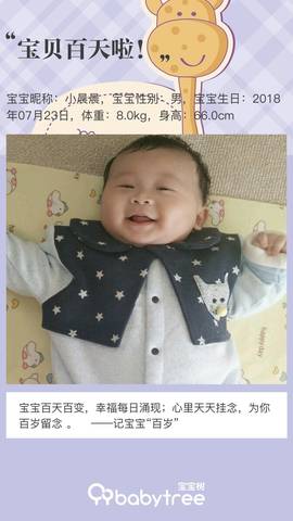 journal_insert_pic_1121324344