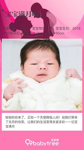 journal_insert_pic_1121251003
