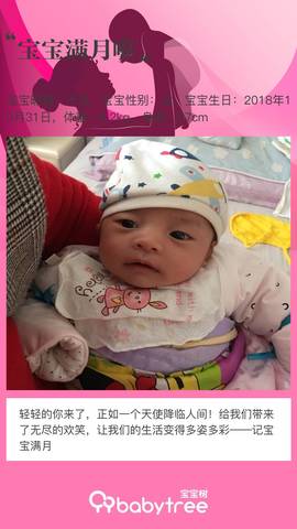 journal_insert_pic_1121386562