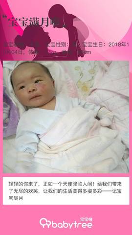 journal_insert_pic_1122197707