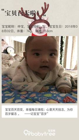 journal_insert_pic_1125993461