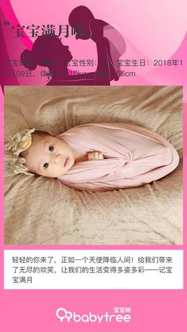 journal_insert_pic_1125607344
