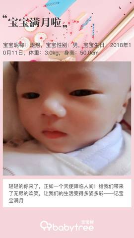 journal_insert_pic_1125857413