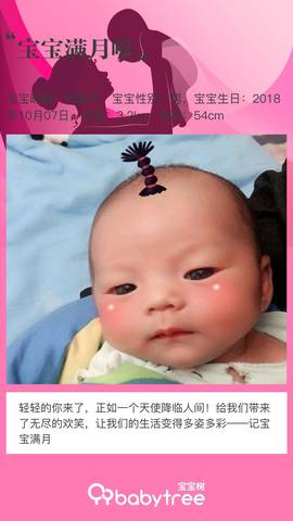 journal_insert_pic_1125583071