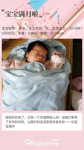 journal_insert_pic_1126815313