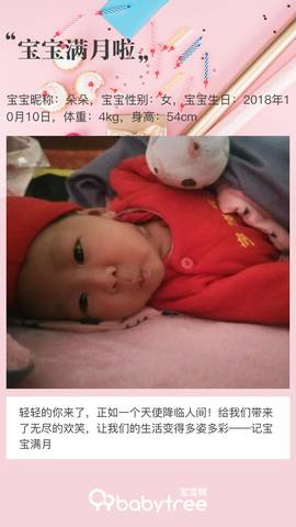 journal_insert_pic_1127113641