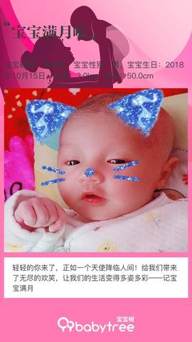 journal_insert_pic_1128770193