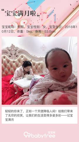 journal_insert_pic_1129305103