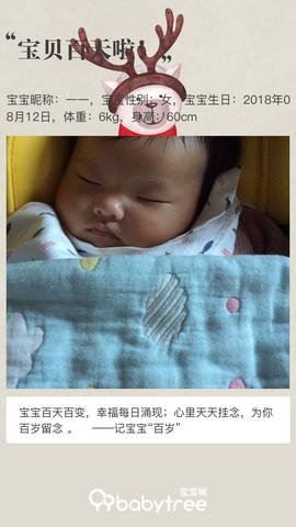 journal_insert_pic_1129608949