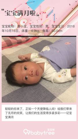 journal_insert_pic_1129765451