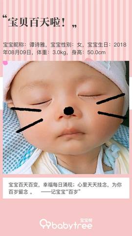 journal_insert_pic_1129476213