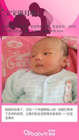 journal_insert_pic_1130215821