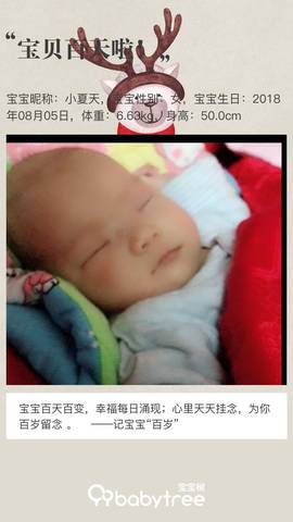 journal_insert_pic_1129939042