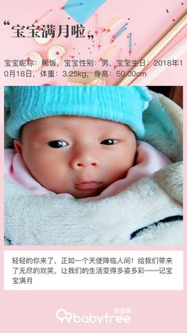 journal_insert_pic_1130575563