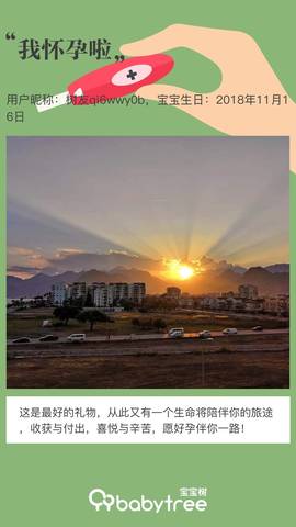 journal_insert_pic_1130790645