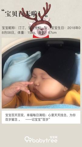 journal_insert_pic_1131496225