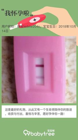journal_insert_pic_1131400134