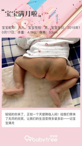 journal_insert_pic_1131250987